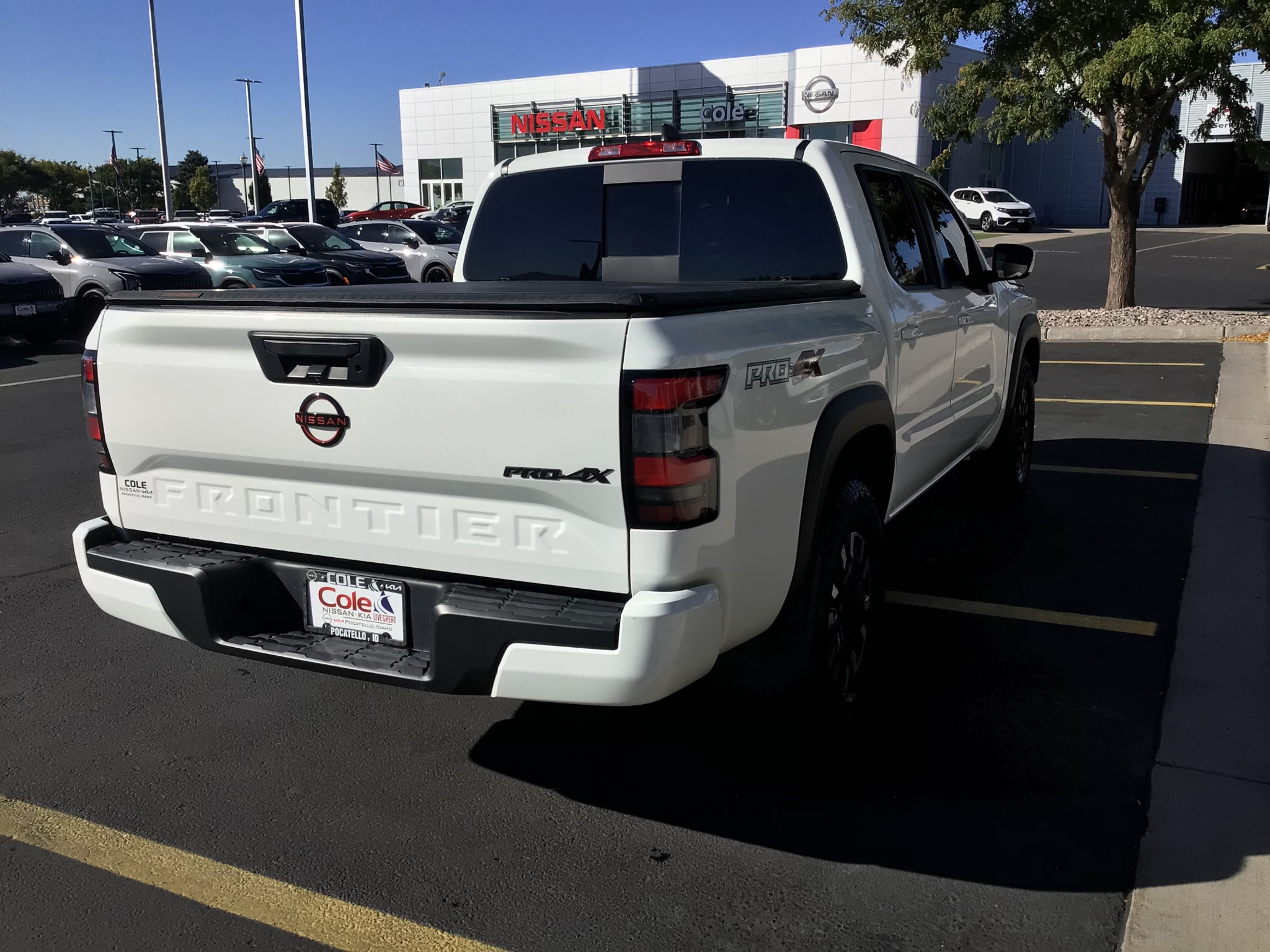 Used 2024 Nissan Frontier PRO-4X w/ Off-Road Protection Package AWD/4WD image 5