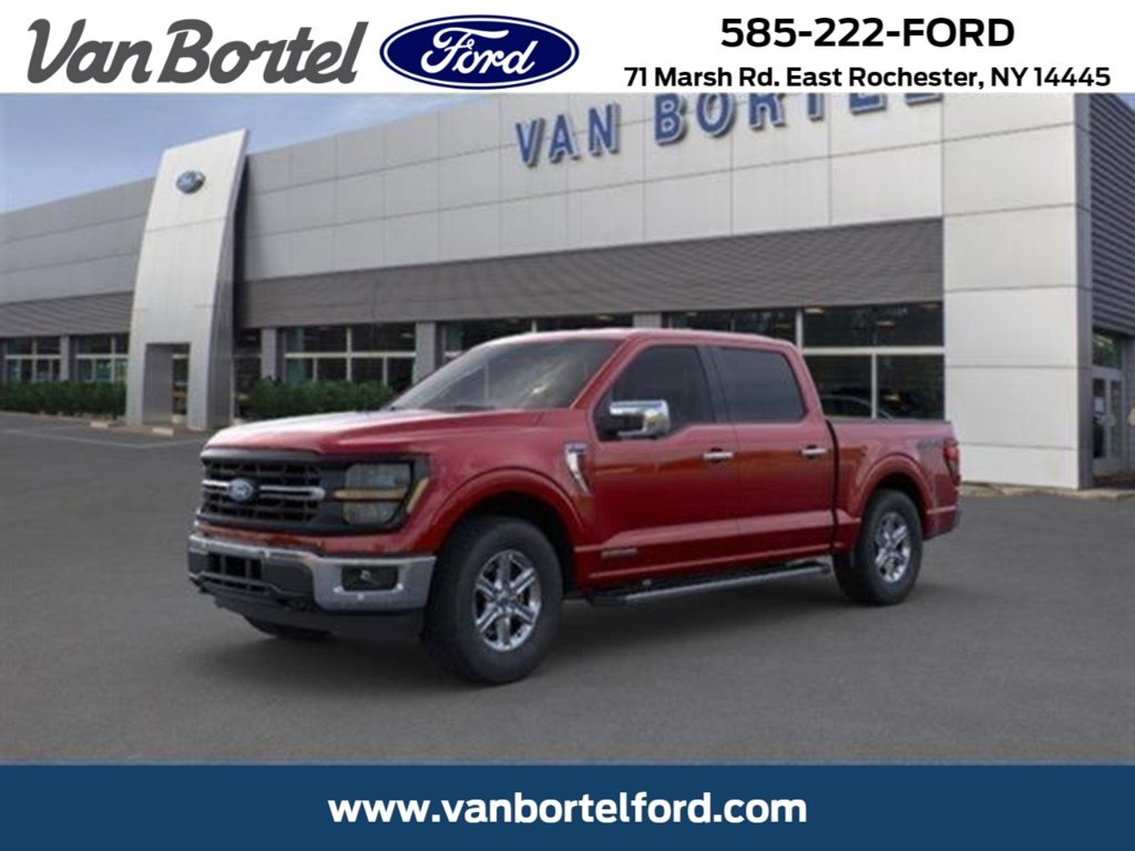 Used 2025 Ford F150 XLT w/ Equipment Group 302A MID