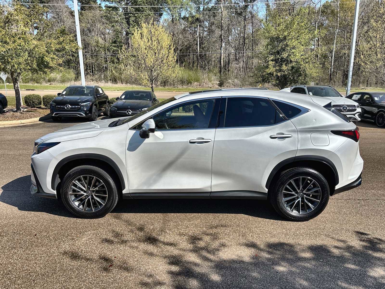 Used 2025 Lexus NX 350h AWD w/ Cold Area Package image 5