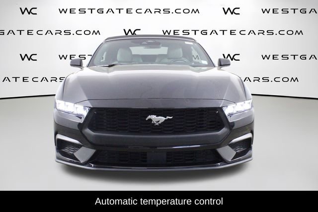 Used 2024 Ford Mustang Premium image 4
