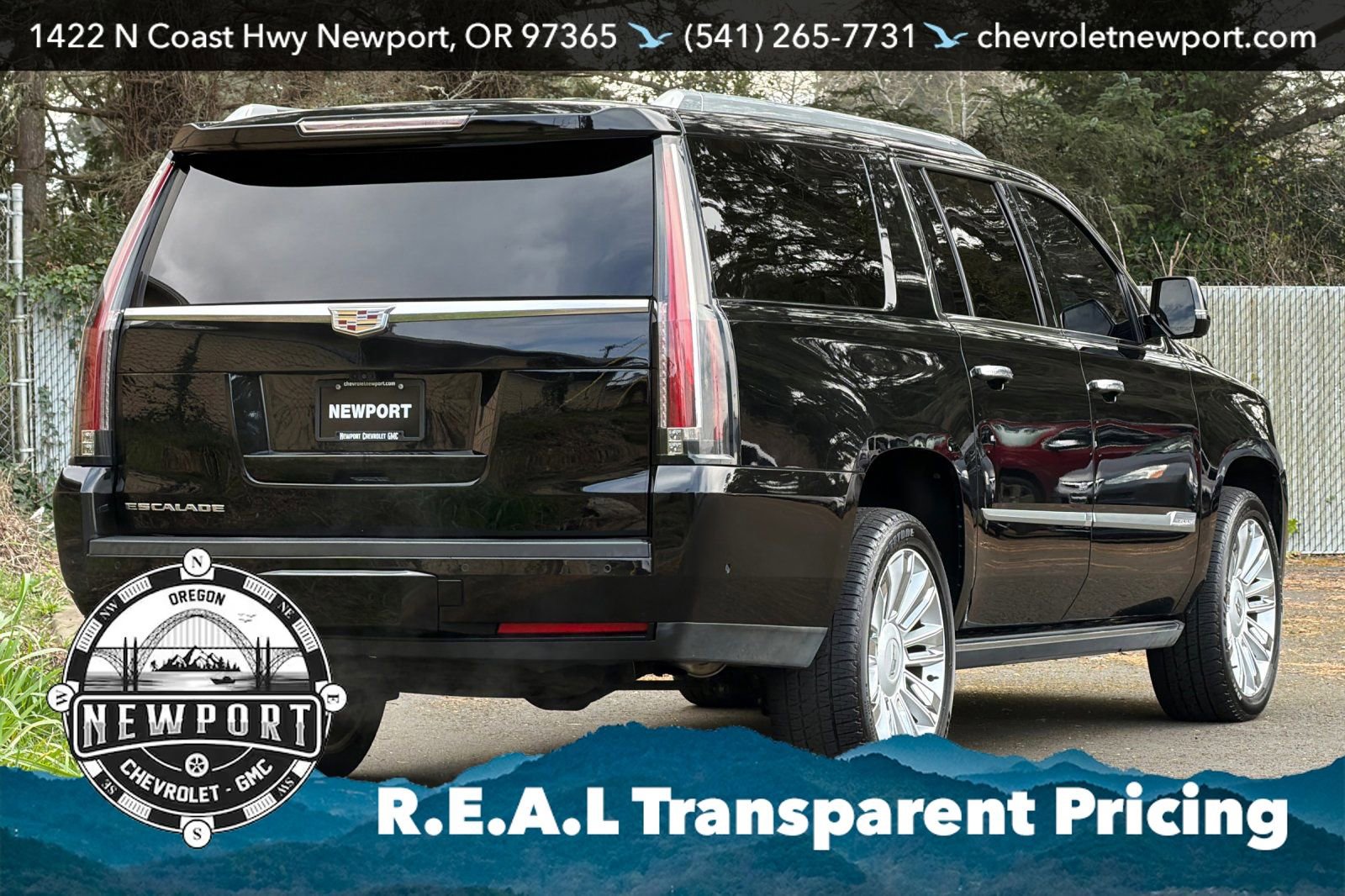 Used 2019 Cadillac Escalade ESV Platinum image 4