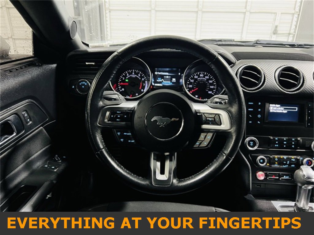 Used 2019 Ford Mustang EcoBoost image 5