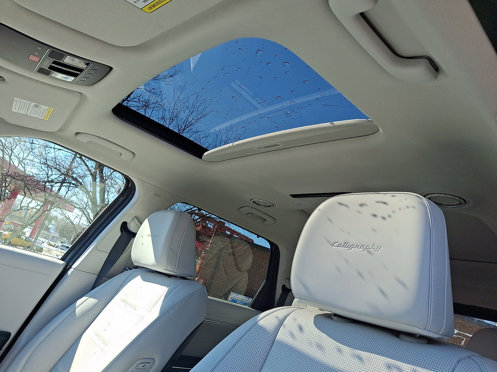 New 2026 Hyundai Palisade Calligraphy image 15