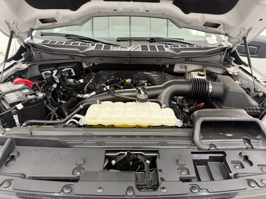 New 2025 Ford F150 XLT w/ Equipment Group 301A Standard image 8