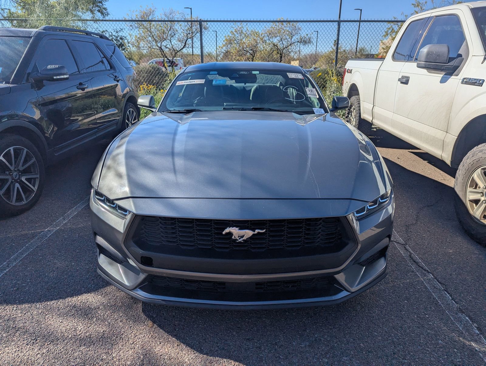 Certified 2024 Ford Mustang Coupe image 2