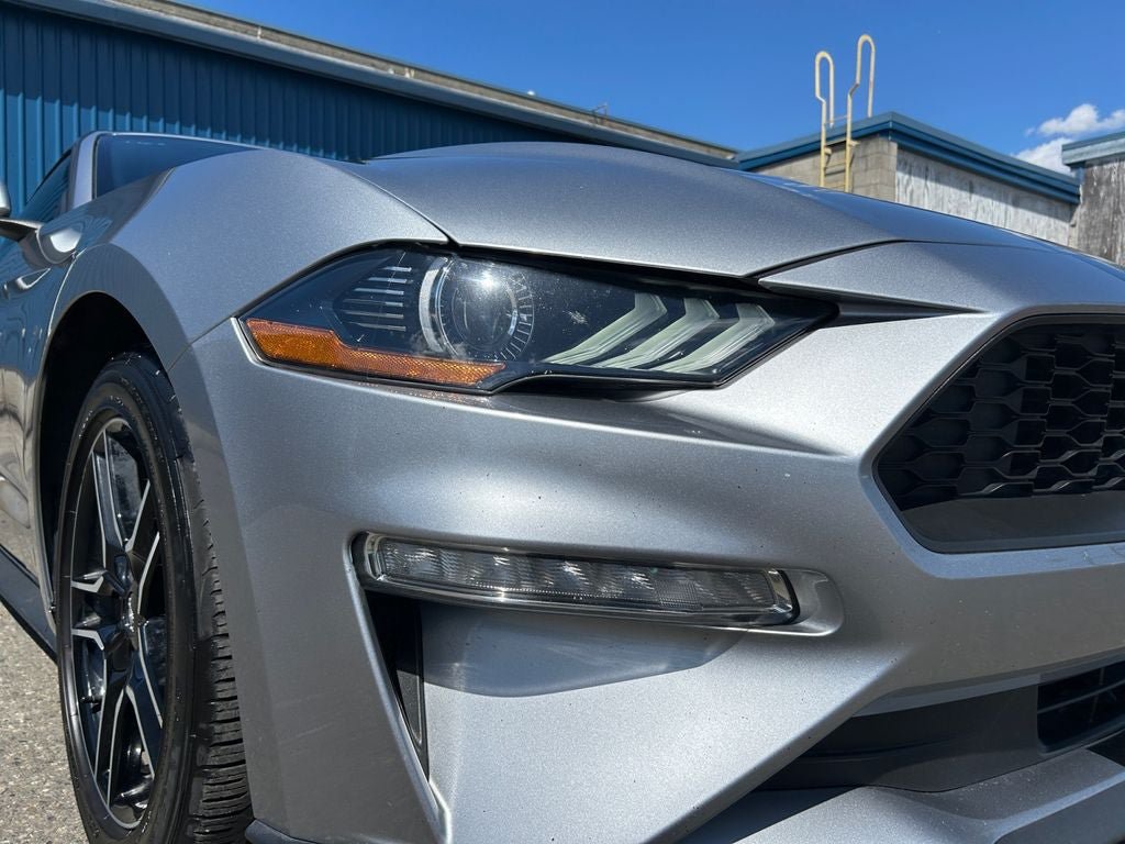 Used 2023 Ford Mustang Premium w/ Equipment Group 201A RWD image 33