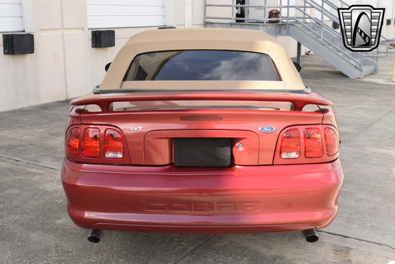 Used 1998 Ford Mustang Cobra image 6