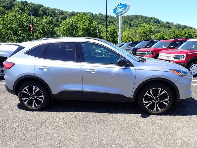 Used 2022 Ford Escape SEL w/ SEL Stealth AWD Package image 7