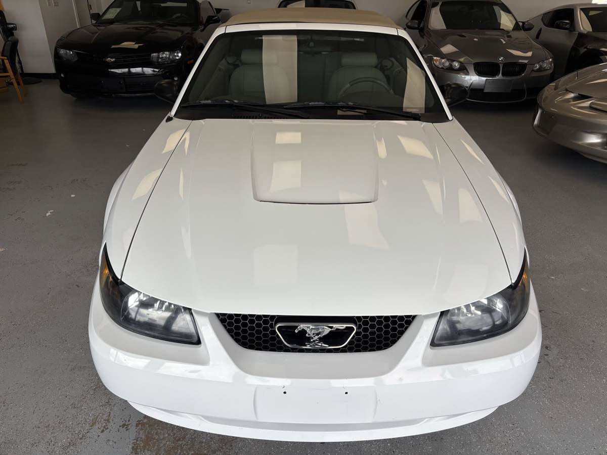 Used 2003 Ford Mustang Convertible RWD image 2