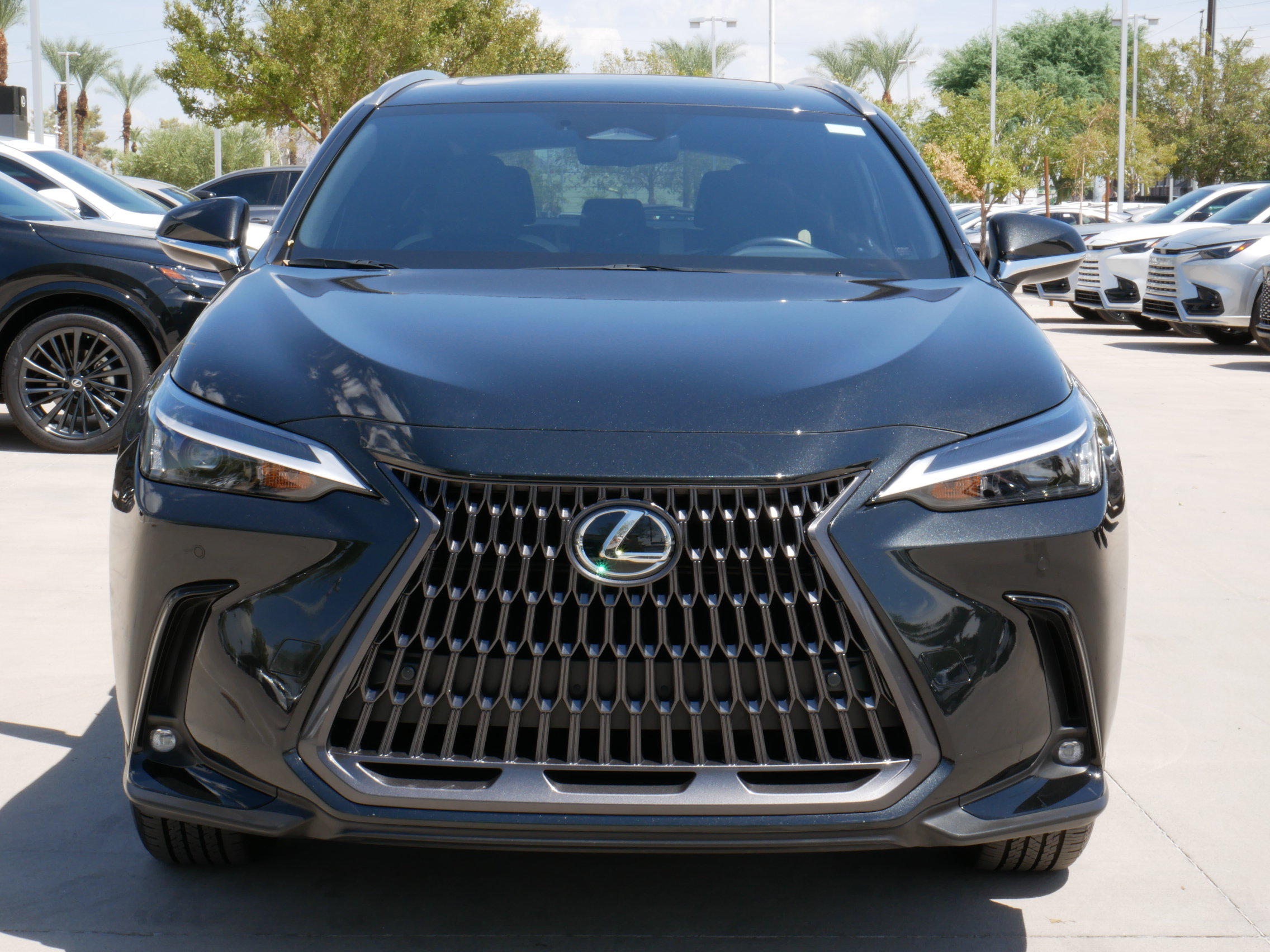 Used 2024 Lexus NX 350h AWD image 19