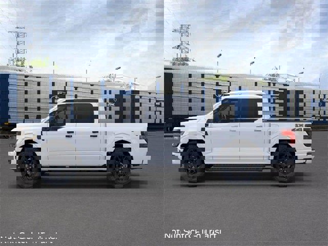 Used 2025 Ford F150 STX w/ STX Black Appearance Package image 4