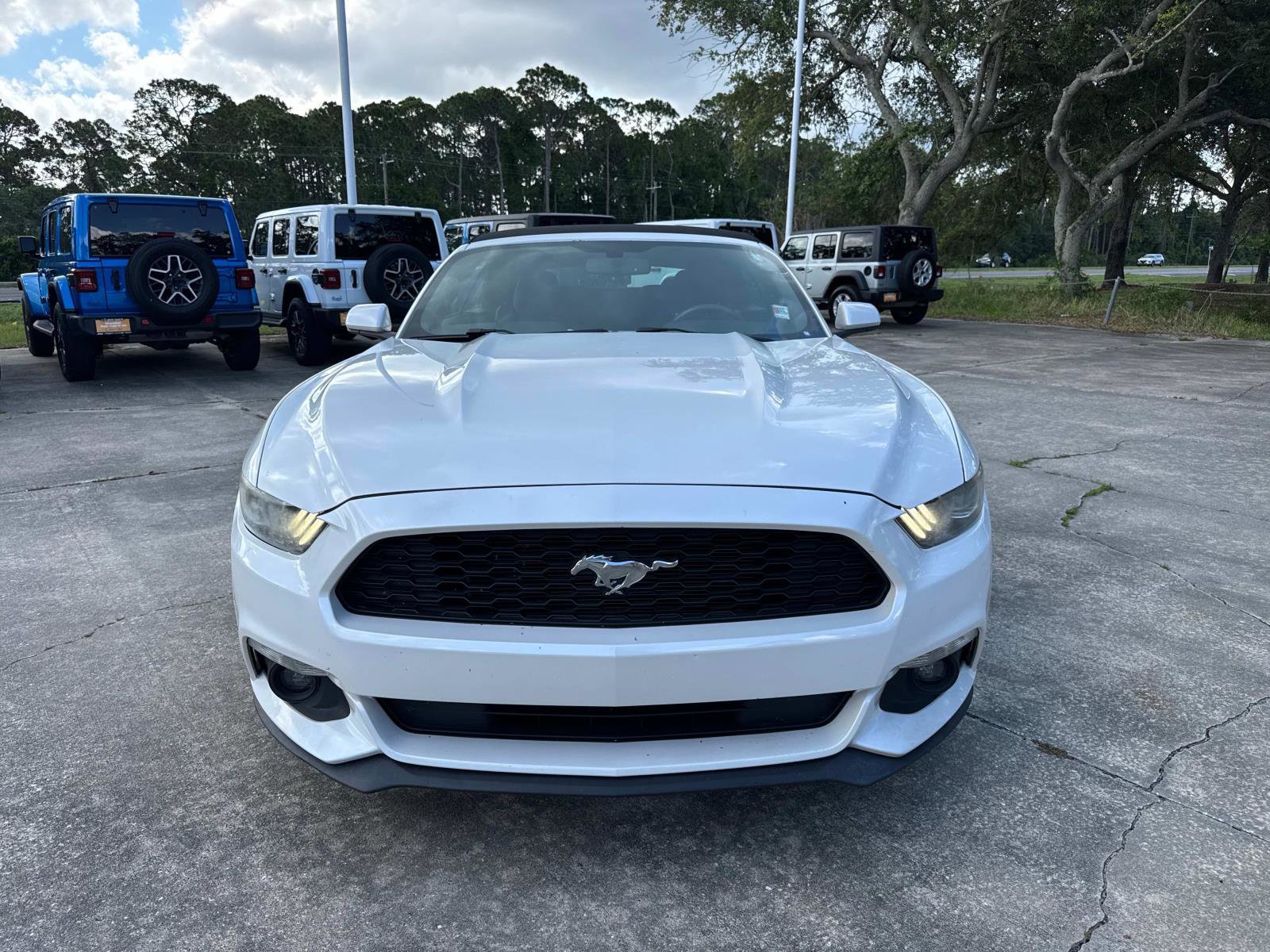 Used 2017 Ford Mustang Convertible w/ Equipment Group 051A RWD image 8