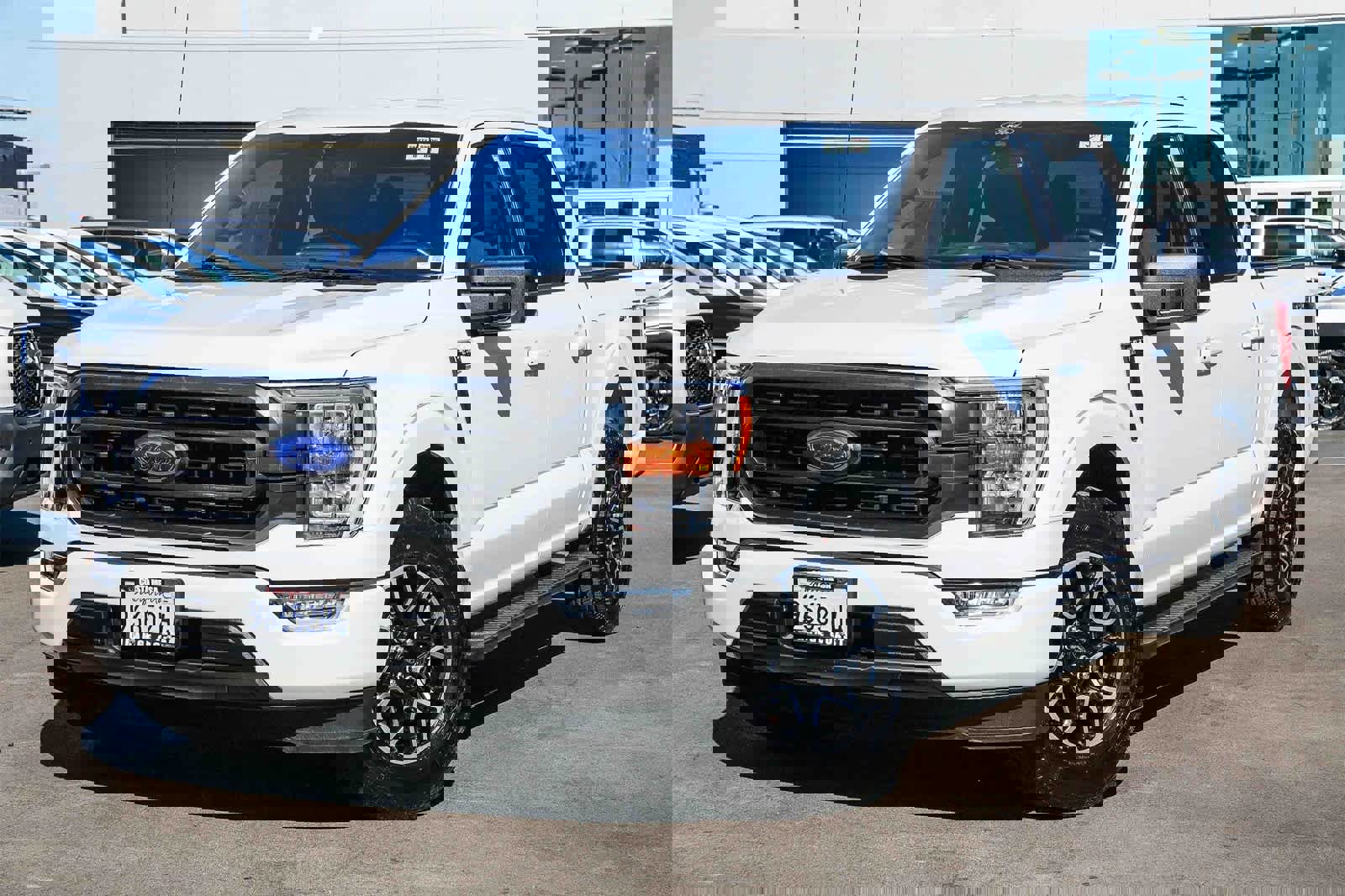 Used 2021 Ford F150 XLT w/ Equipment Group 302A High image 1