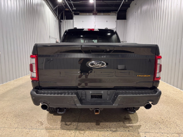 Used 2022 Ford F150 Tremor w/ Equipment Group 402A High AWD/4WD image 7