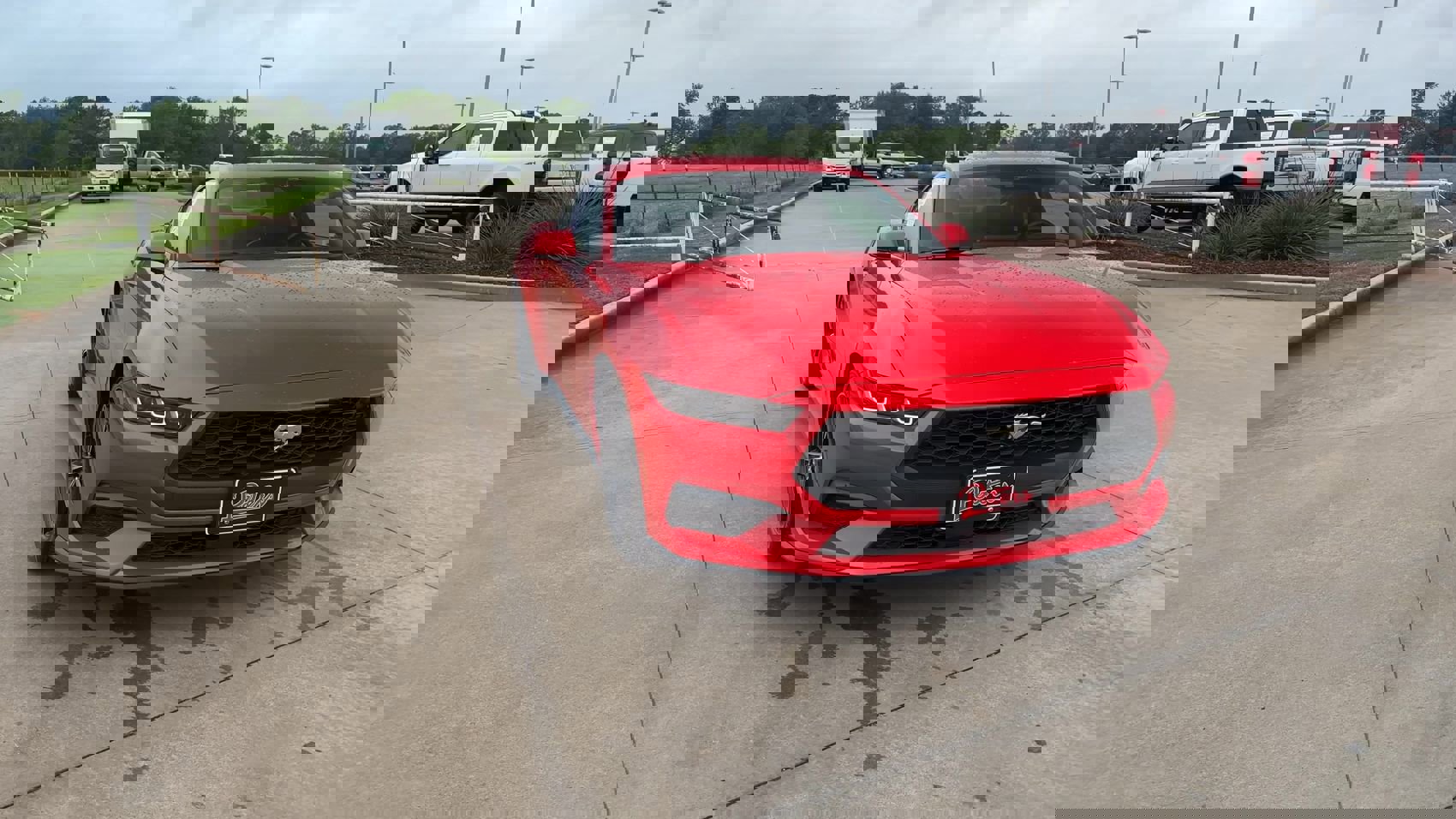 Used 2024 Ford Mustang Coupe image 3