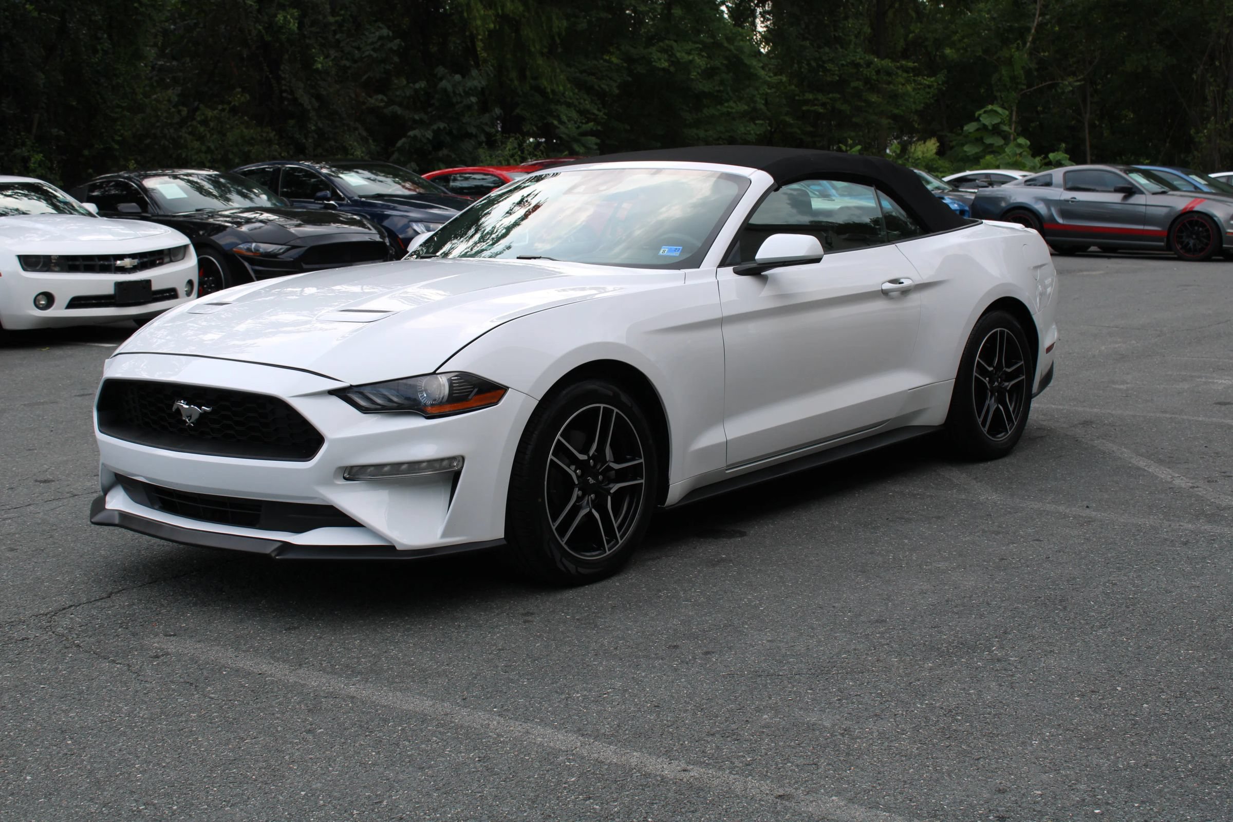 Used 2022 Ford Mustang Premium RWD image 5