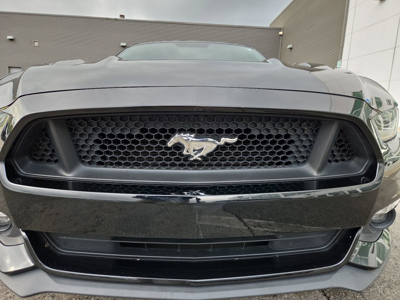 Used 2017 Ford Mustang GT Premium w/ Equipment Group 401A RWD image 6