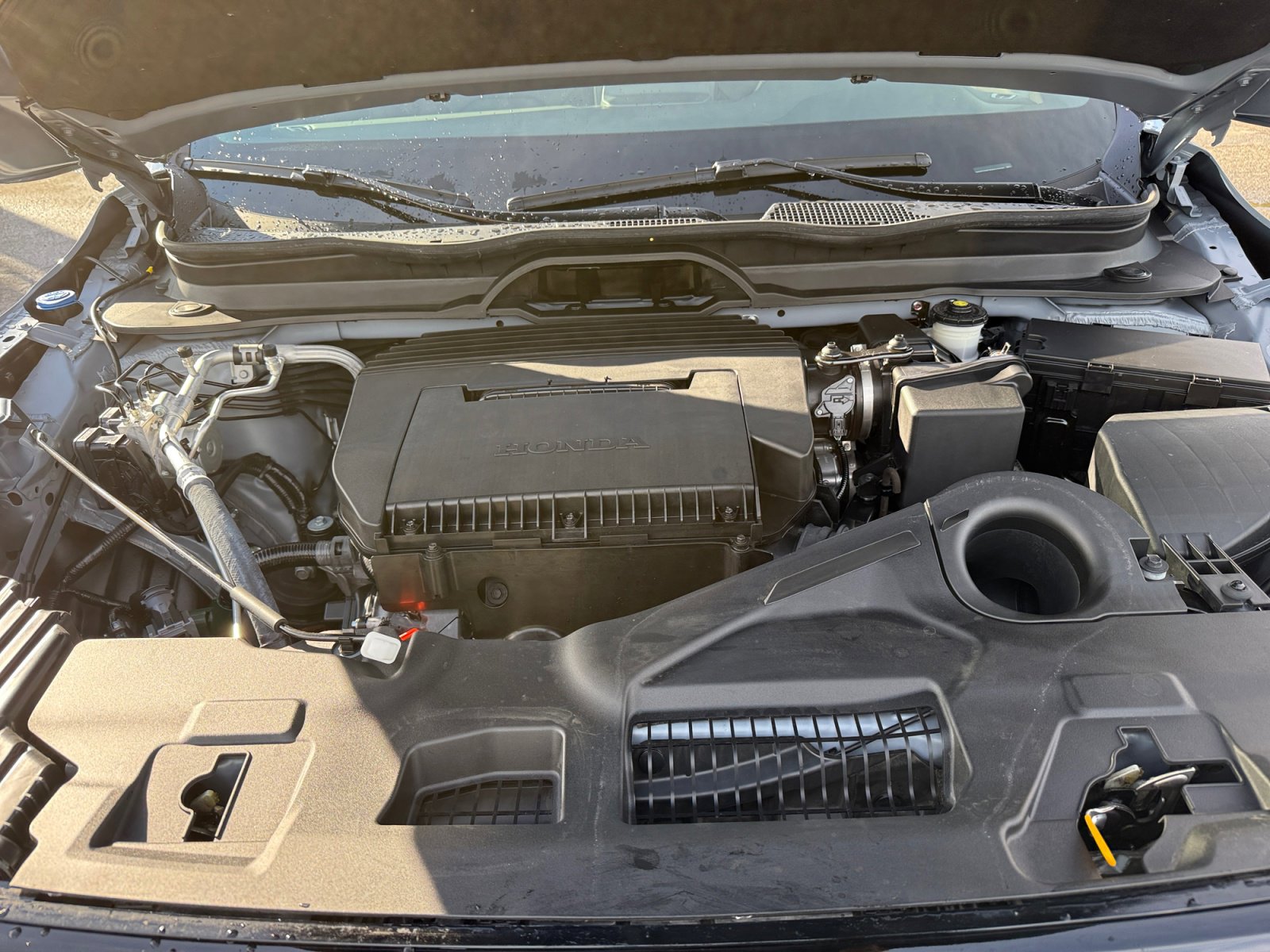 Used 2024 Honda Pilot TrailSport image 20