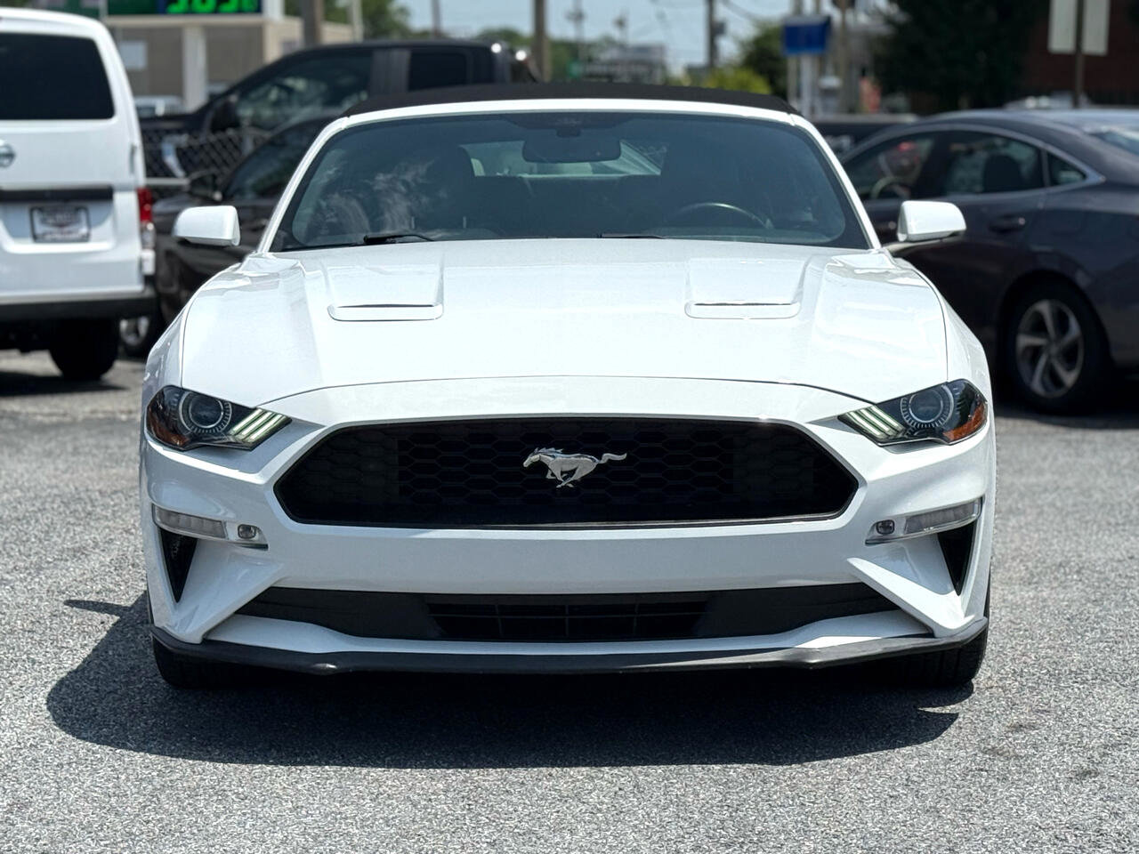 Used 2019 Ford Mustang Premium image 7
