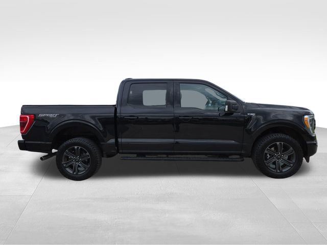 Used 2023 Ford F150 XLT w/ Equipment Group 302A High AWD/4WD image 14