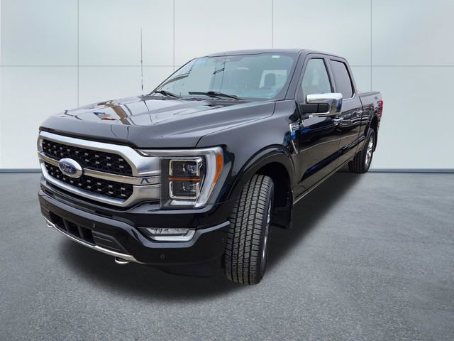 Used 2023 Ford F150 Platinum w/ FX4 Off-Road Package image 3