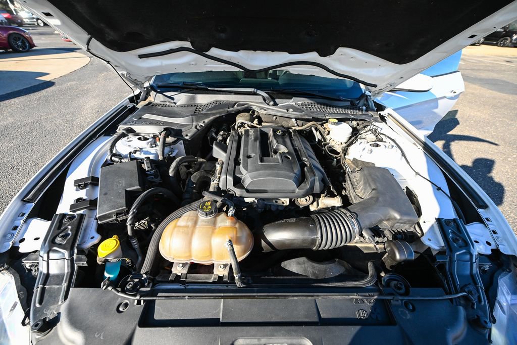 Used 2019 Ford Mustang Coupe image 18