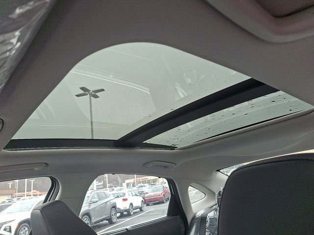 New 2026 Hyundai Sonata Limited image 6