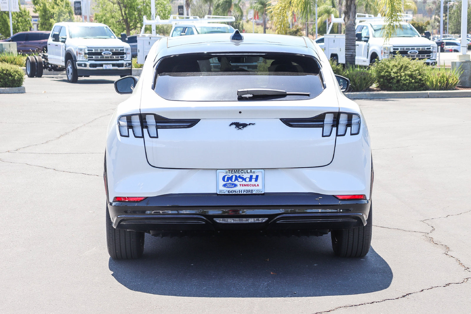 New 2026 Ford Mustang Mach-E Premium w/ Sport Appearance Package RWD image 6