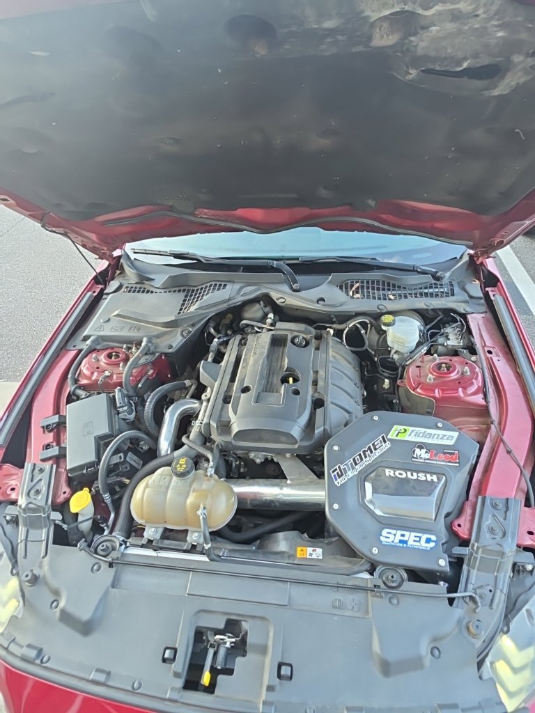 Used 2018 Ford Mustang Coupe RWD image 8