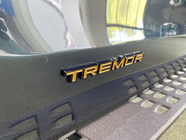 New 2025 Ford Expedition Tremor image 45
