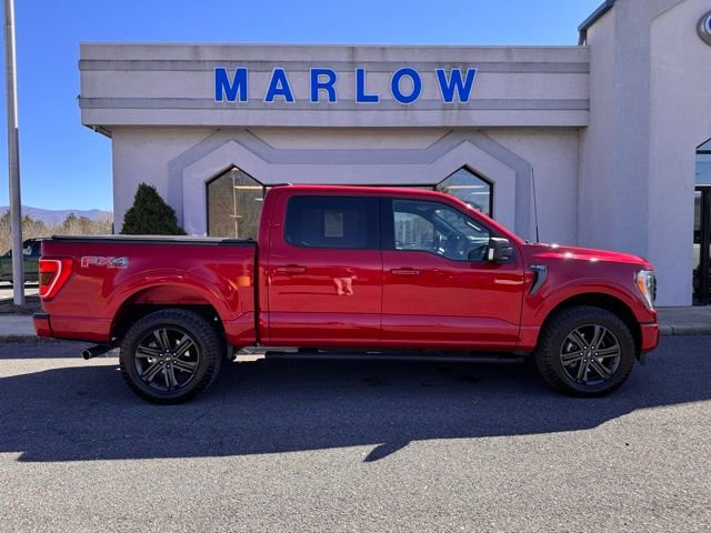 Used 2022 Ford F150 XLT w/ Equipment Group 302A High image 3