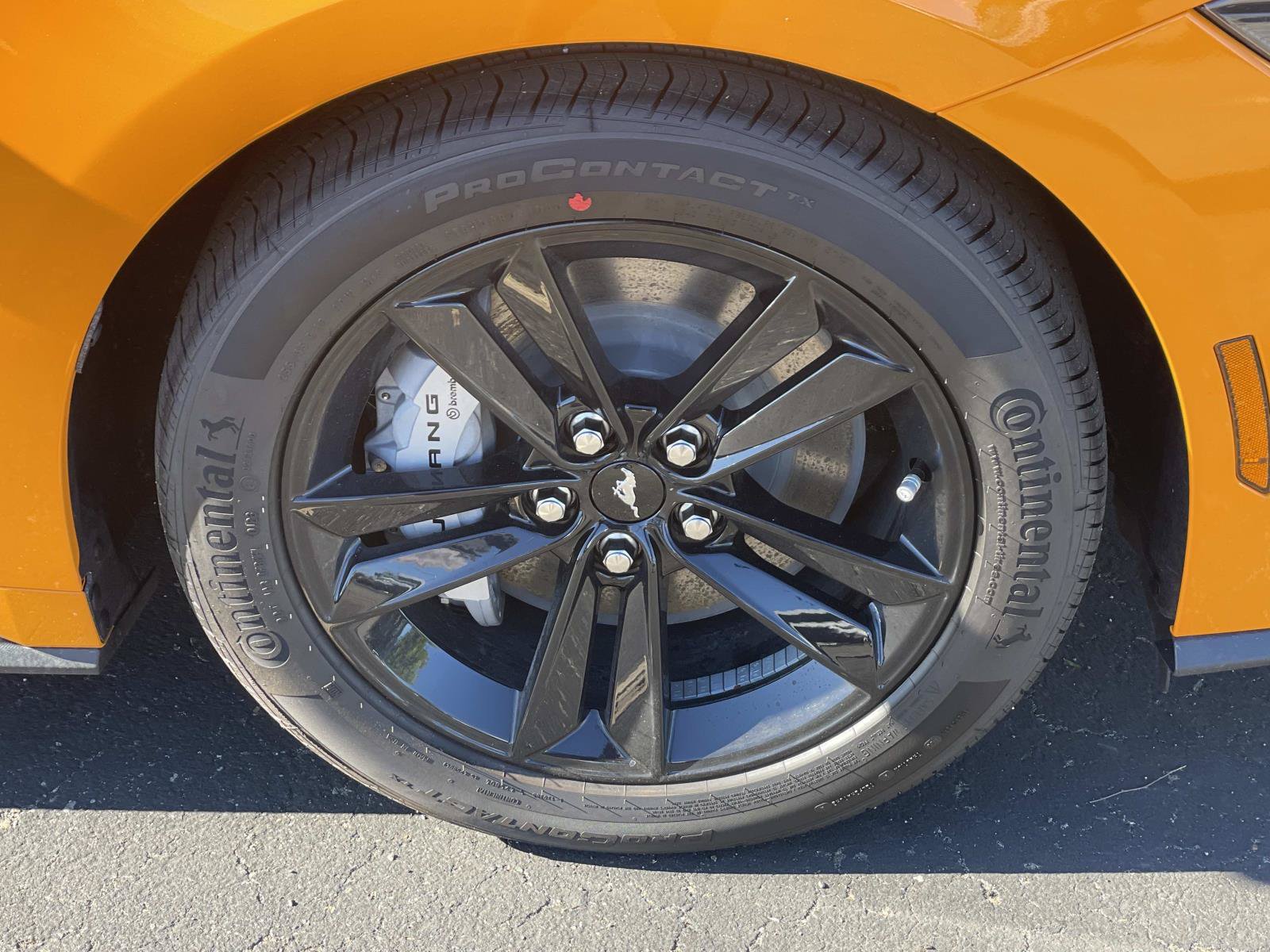 New 2026 Ford Mustang GT RWD image 33