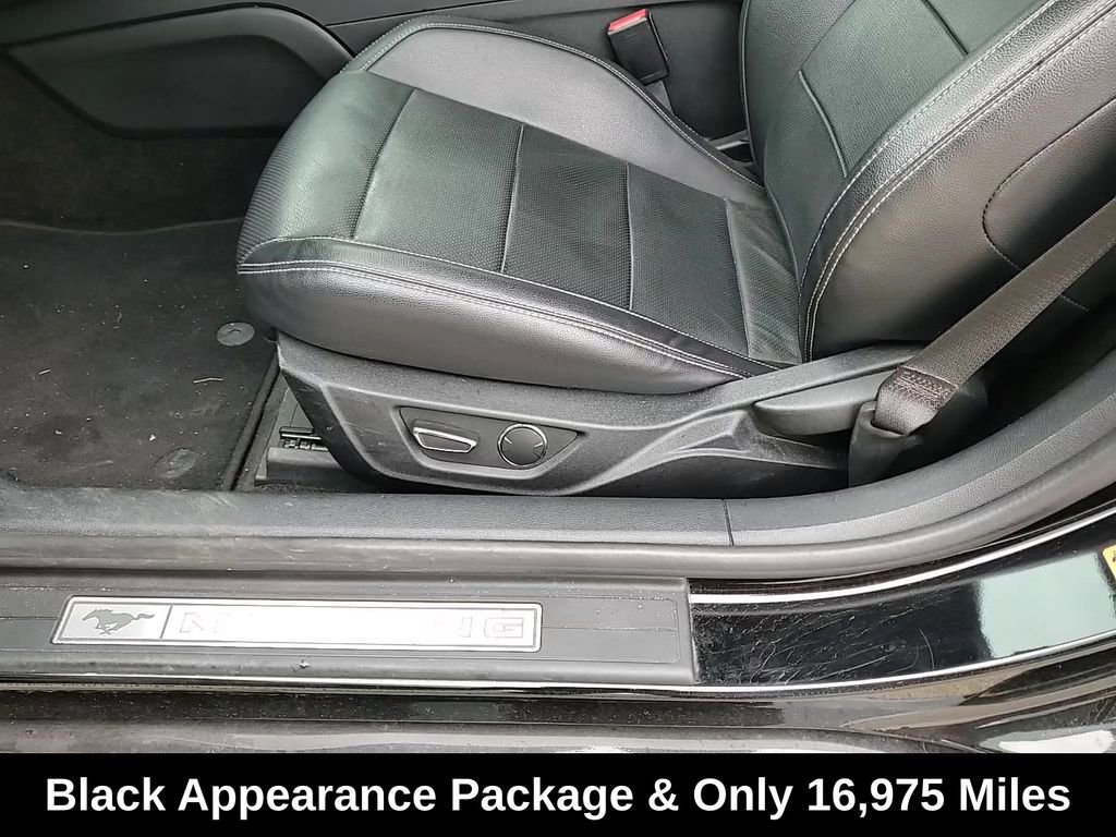 Used 2017 Ford Mustang GT Premium w/ Black Accent Package image 14