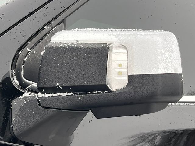 Used 2022 Chevrolet Silverado 1500 LTZ image 44