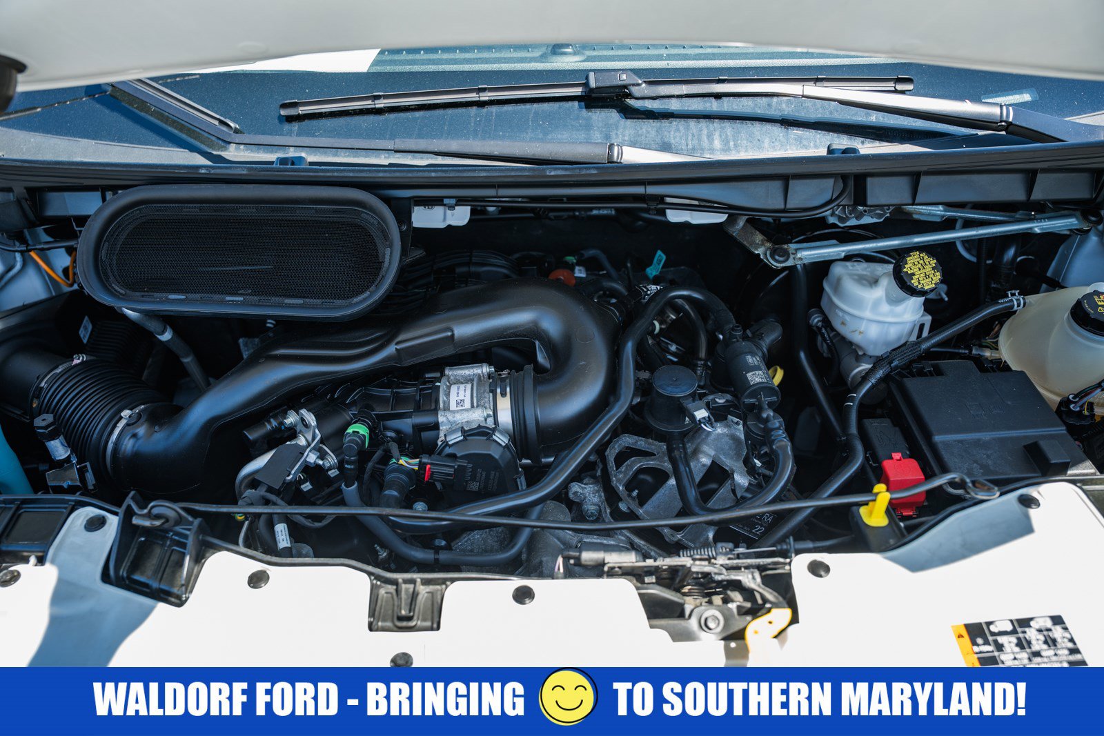 Used 2024 Ford Transit 250 Low Roof w/ Exterior Upgrade Package image 19