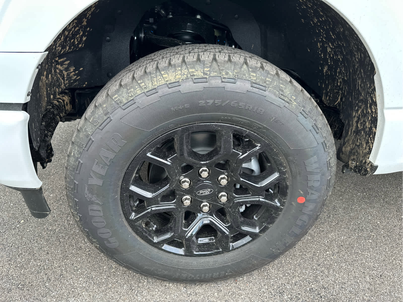 Used 2025 Ford F150 STX image 24