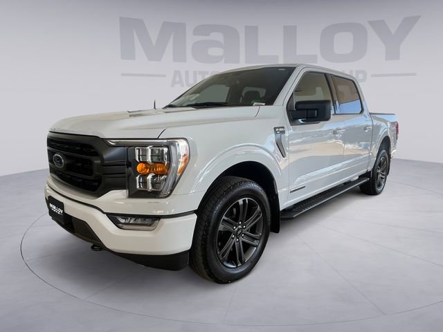 Used 2023 Ford F150 XLT w/ Equipment Group 302A High image 1