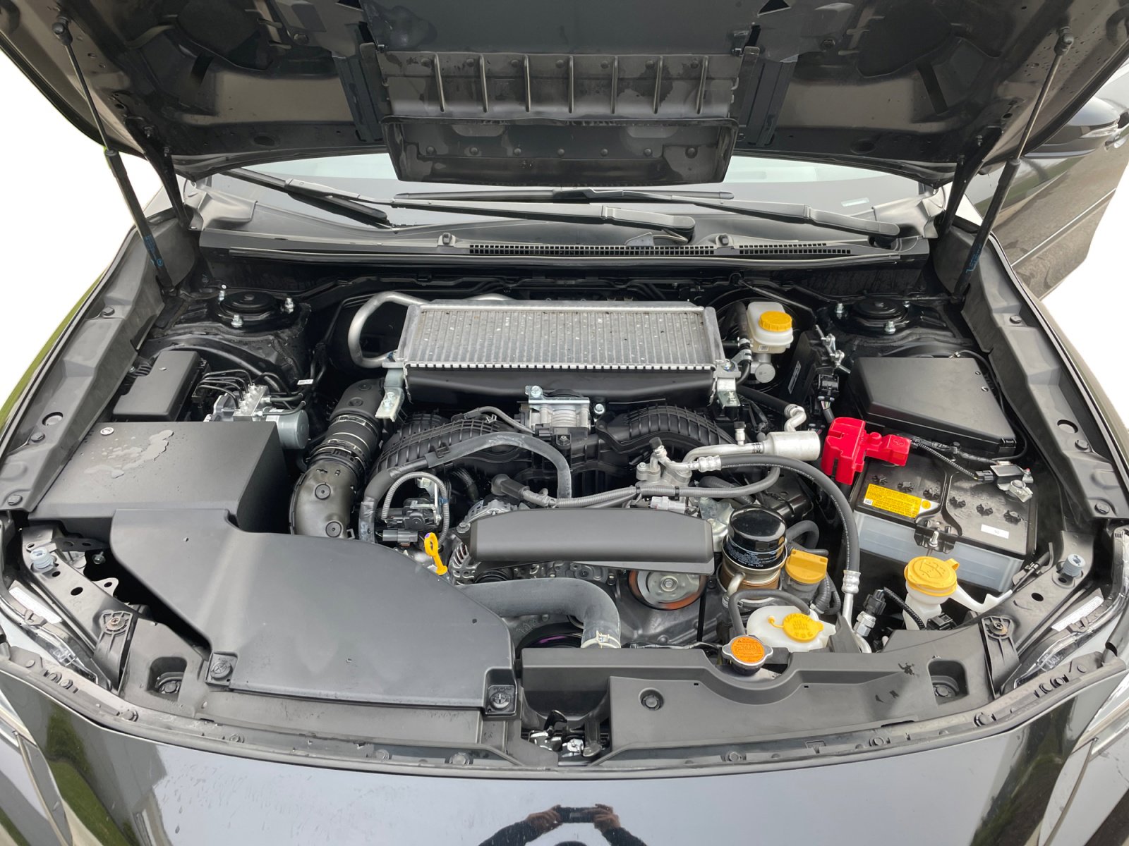 Certified 2024 Subaru WRX Limited image 7