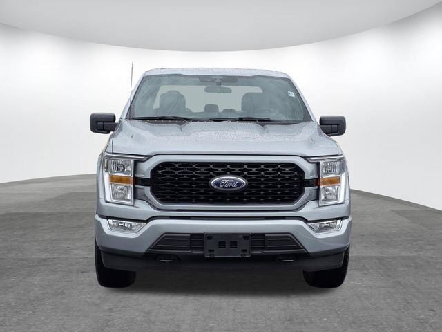 Used 2021 Ford F150 XL w/ STX Appearance Package AWD/4WD image 2