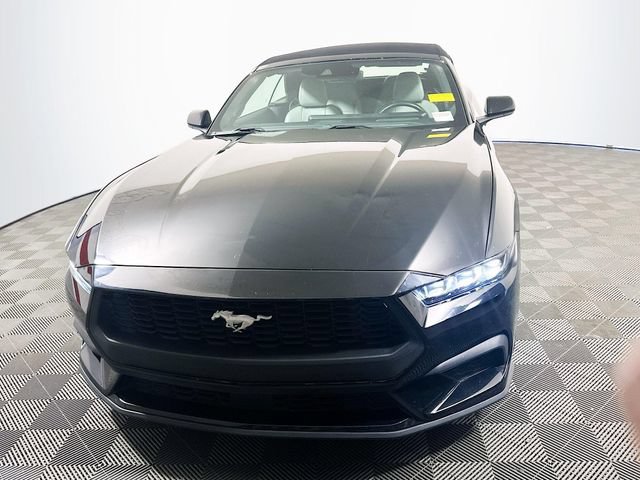 Used 2024 Ford Mustang Premium RWD image 3