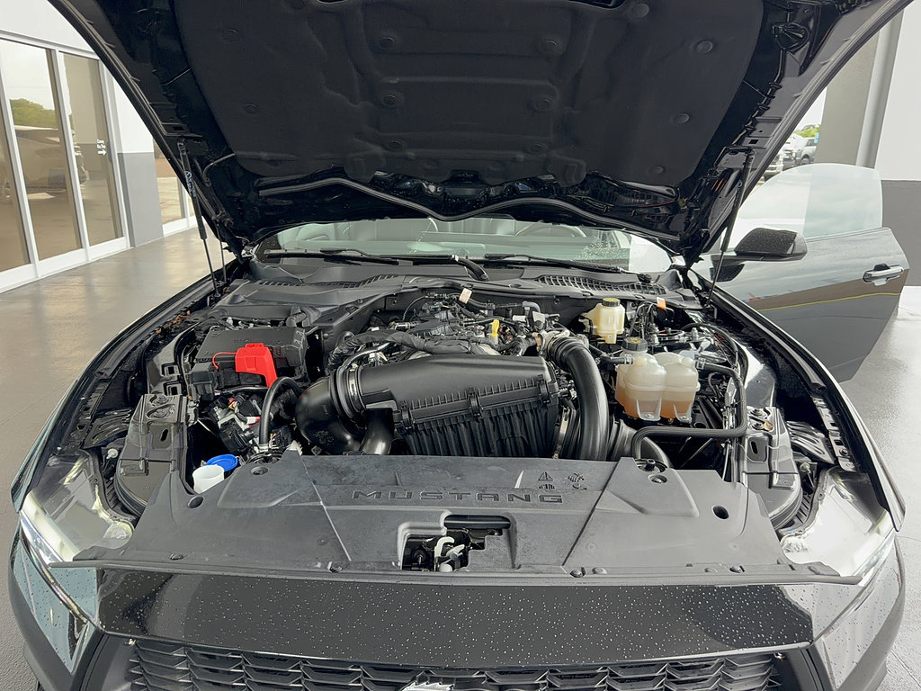 Certified 2024 Ford Mustang Premium RWD image 33
