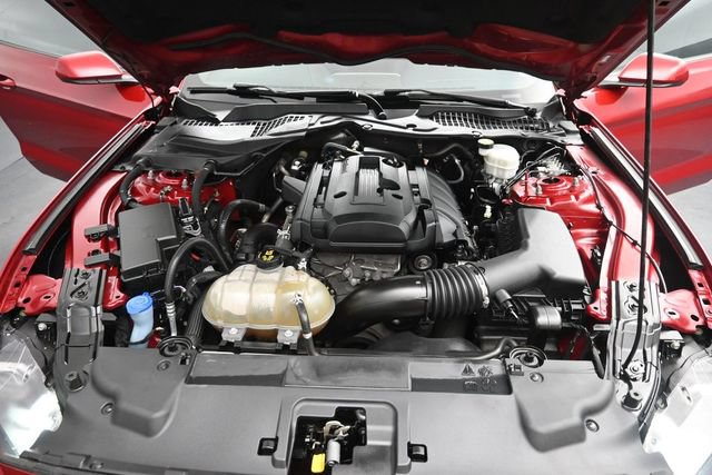 Used 2020 Ford Mustang Coupe w/ Equipment Group 101A RWD image 28