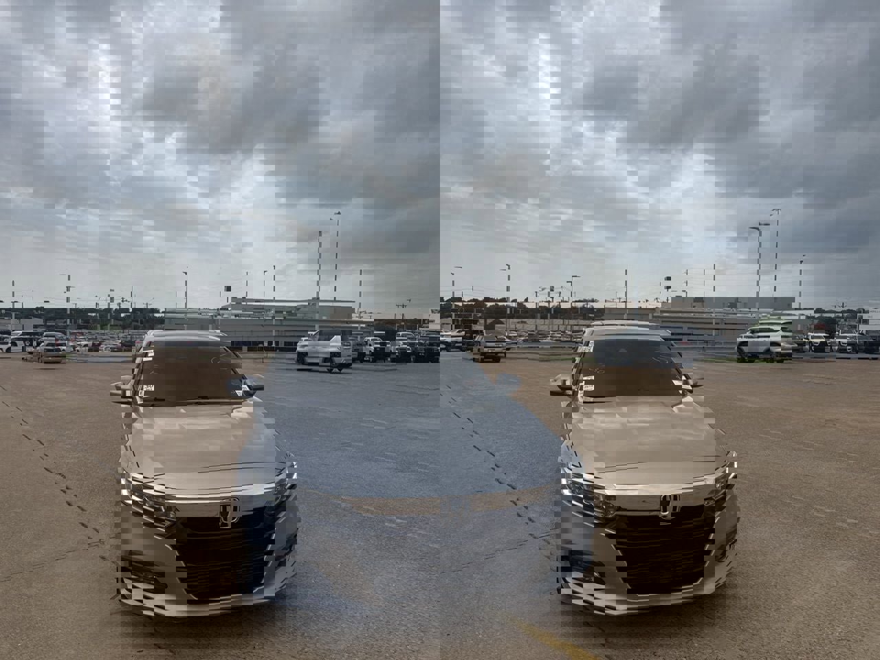 Used 2019 Honda Accord EX image 4