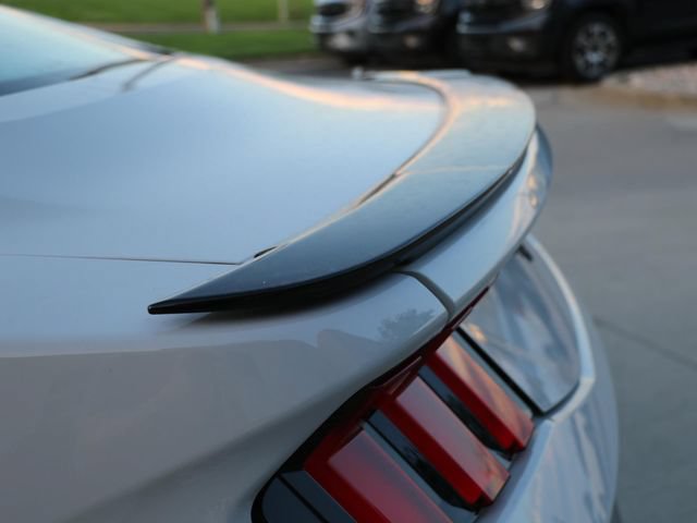 New 2026 Ford Mustang Coupe w/ Mustang Nite Pony Package RWD image 15