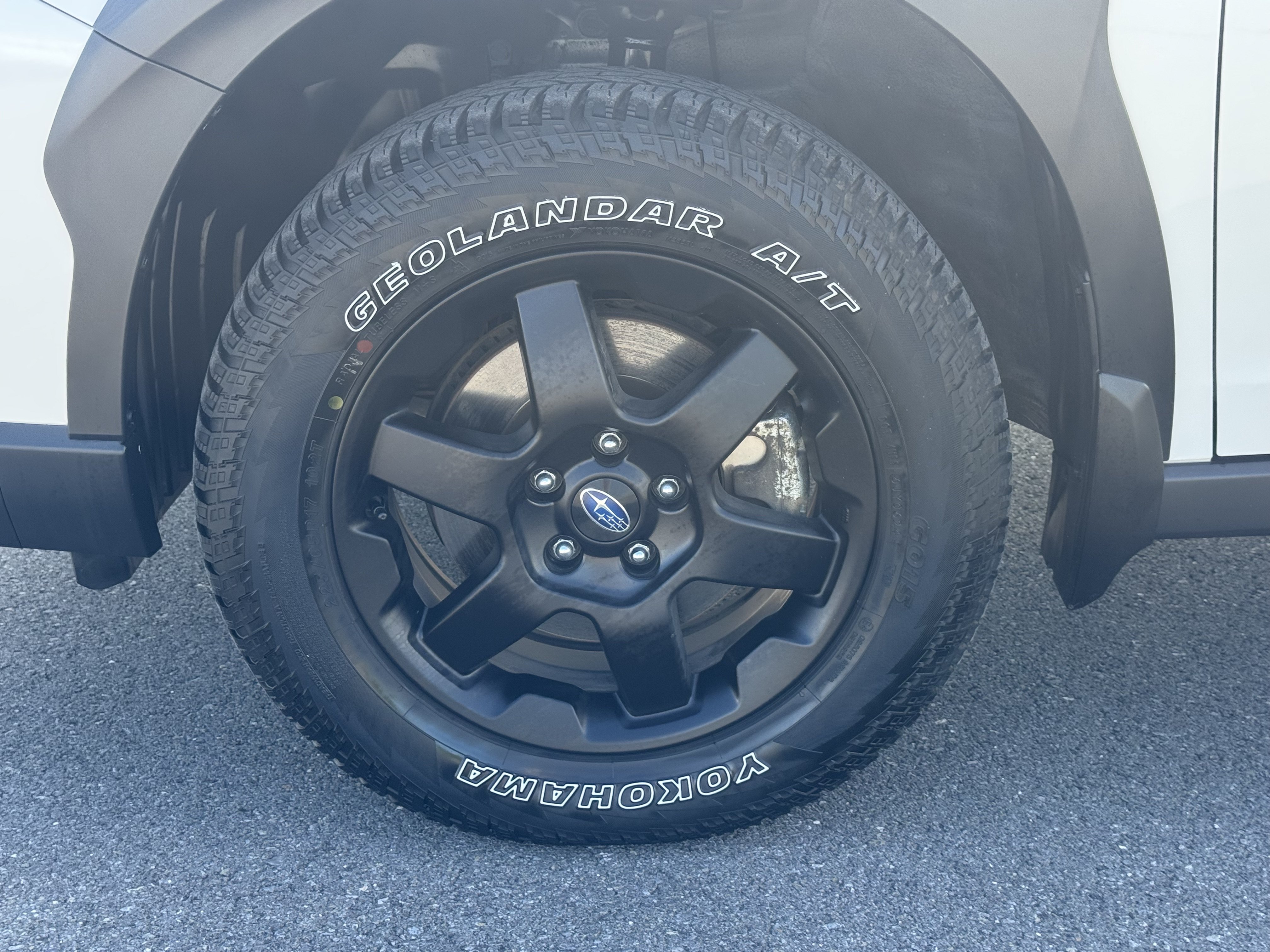 Certified 2025 Subaru Outback Wilderness AWD/4WD image 11