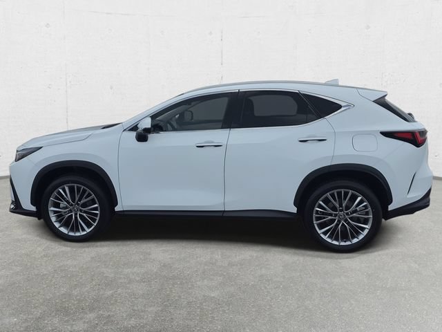 New 2026 Lexus NX 350 AWD w/ Accessory Package (2T) image 8