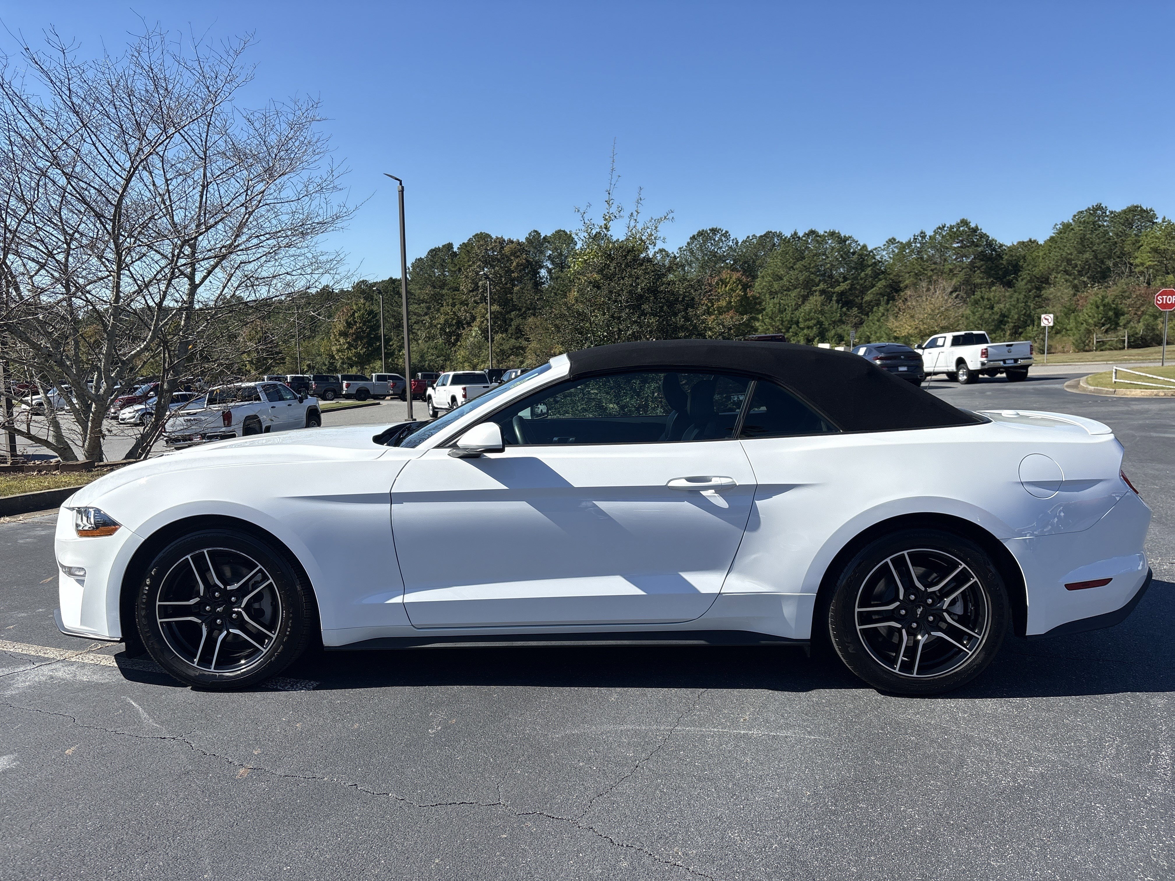 Used 2023 Ford Mustang Premium image 8