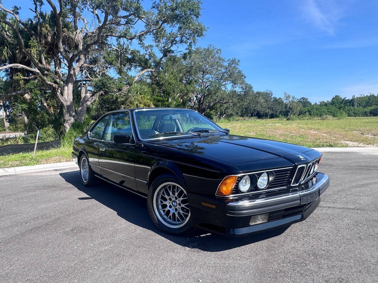 Used 1988 BMW 635CSi Coupe RWD image 16