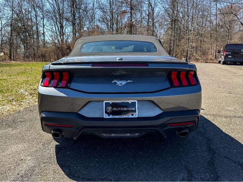 Used 2024 Ford Mustang Premium RWD image 6