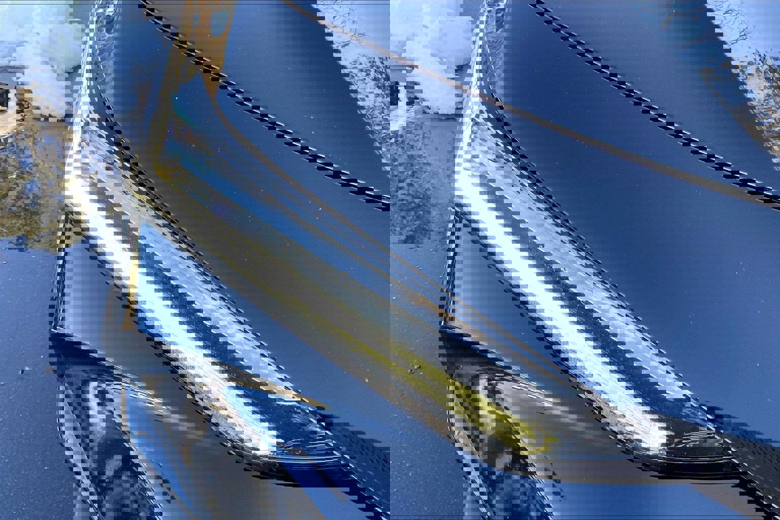 Used 2023 Acura TLX w/ Technology Package image 30